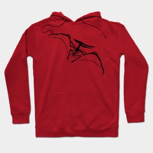 Terra Fossil Pteranodon Dinosaur Hoodie